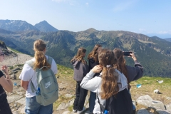 83850158-d87e-4806-8d4f-3f3518504e76