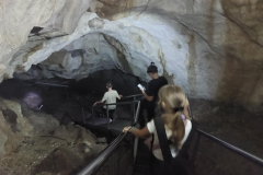 852ee125-1de2-4878-9ef9-afd3f3105fca