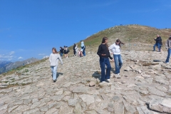 9165479a-48e1-4058-a321-acdef4808357