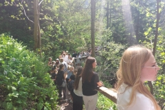 9ec53e4c-6695-4897-b5ee-9e8b6a6e3091