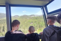 a32b5562-7e38-42db-a1b5-2396c0ce1279