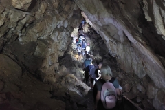 a52b52f3-f4e8-4078-8336-416569c93227