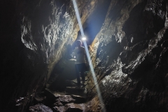 cf395459-a98c-44fe-9607-ff2b2b3c3ba5