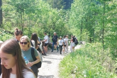 df66ba81-d2bf-4b56-9ab1-7114be13d306