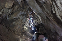 ec5ec2d1-c53e-4922-9b1a-ce87b7bae931