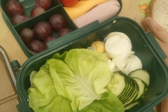 att.FhdA9bZ7i5FCWlHXHmxR370M1I3UMpZoDVH4JiioKxA