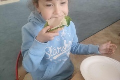 att.qBvC8wMKH-HcyFEN9wZvEWHj0NGLfrS1plp9_PKjKwA